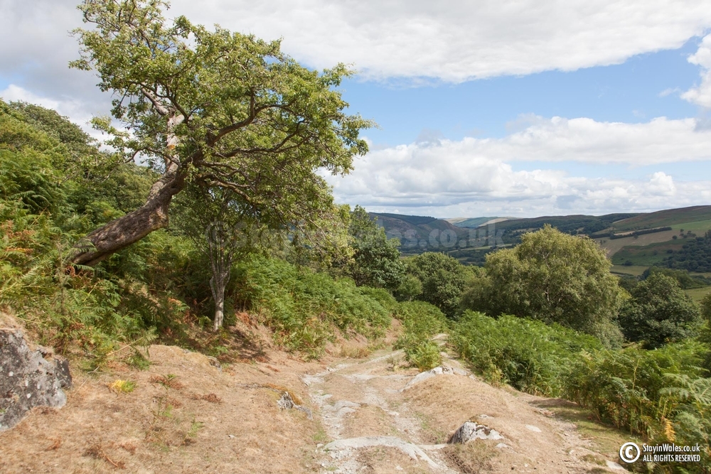 Old Road, Elan Valley
