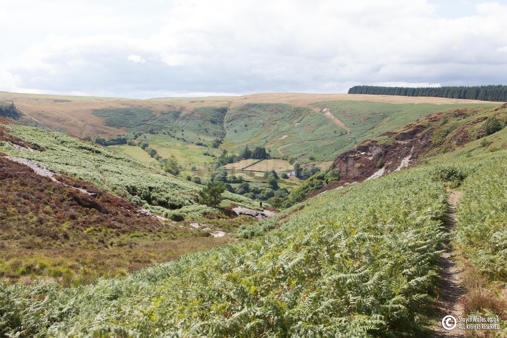 Pant Dolfalau footpath