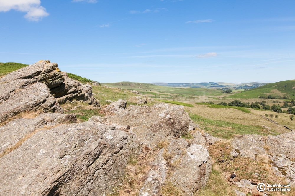 Radnor Forest view