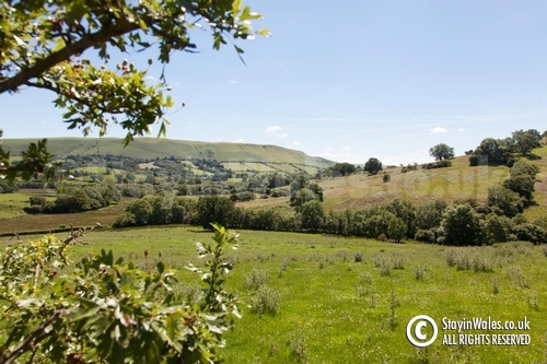Aberedw Hill