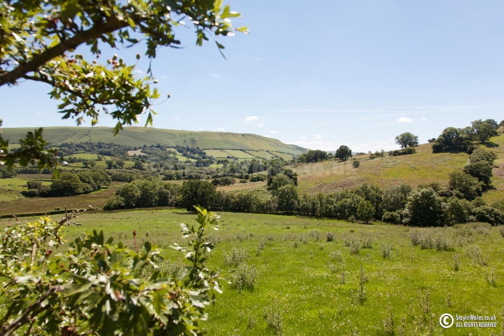 Aberedw Hill