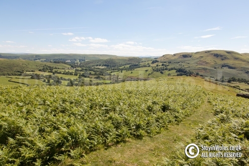 View from Rhogo