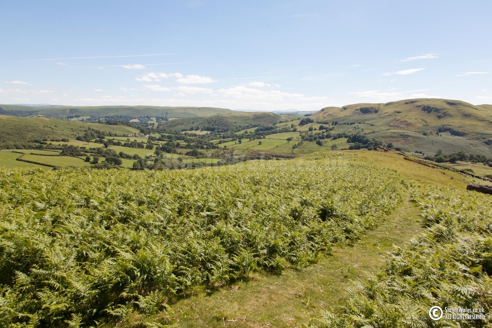 View from Rhogo