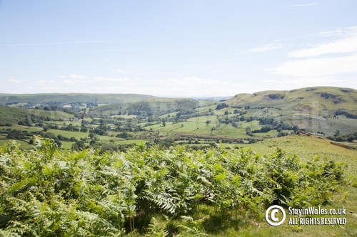 Rhogo view