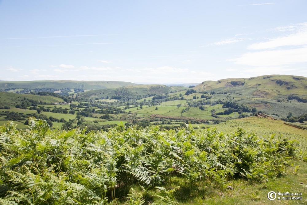 Rhogo view