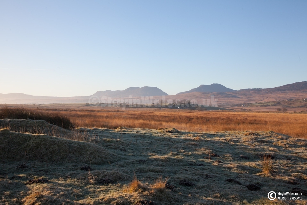 Trawsfynydd