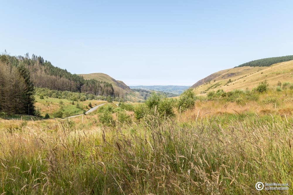 Cwm Berwyn, Tregaron