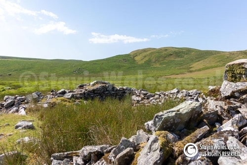 Sheepfold, Esgair Cerrig