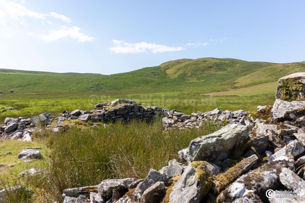 Sheepfold, Esgair Cerrig