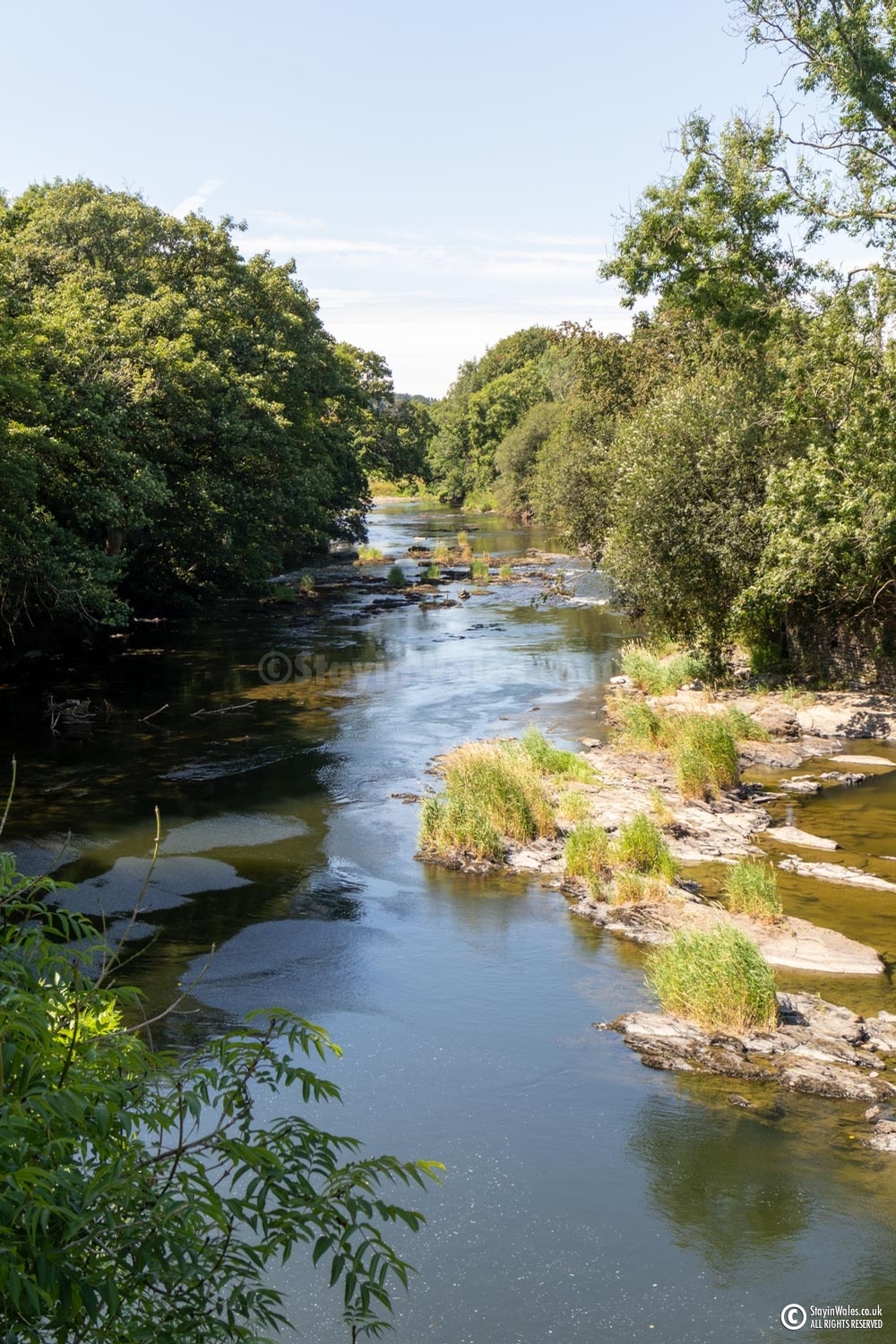 Teifi at Newcastle Emlyn