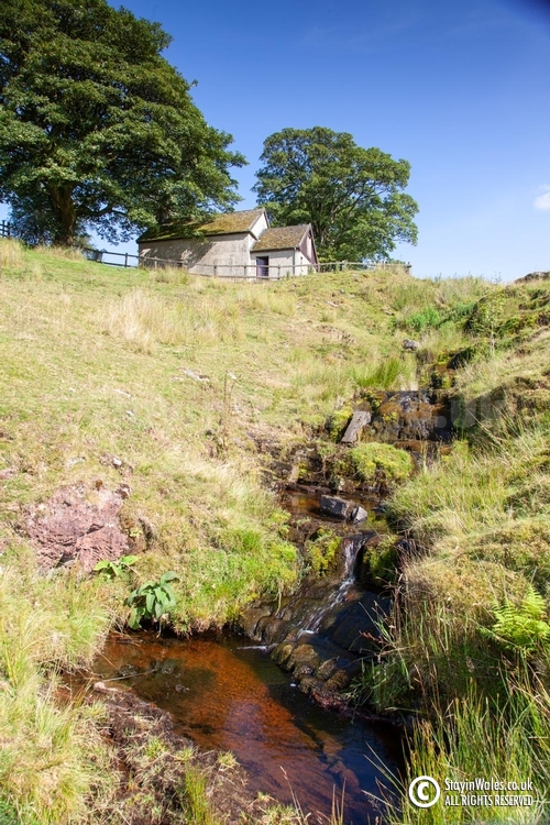 Ffrwd-wen, Mynydd Epynt