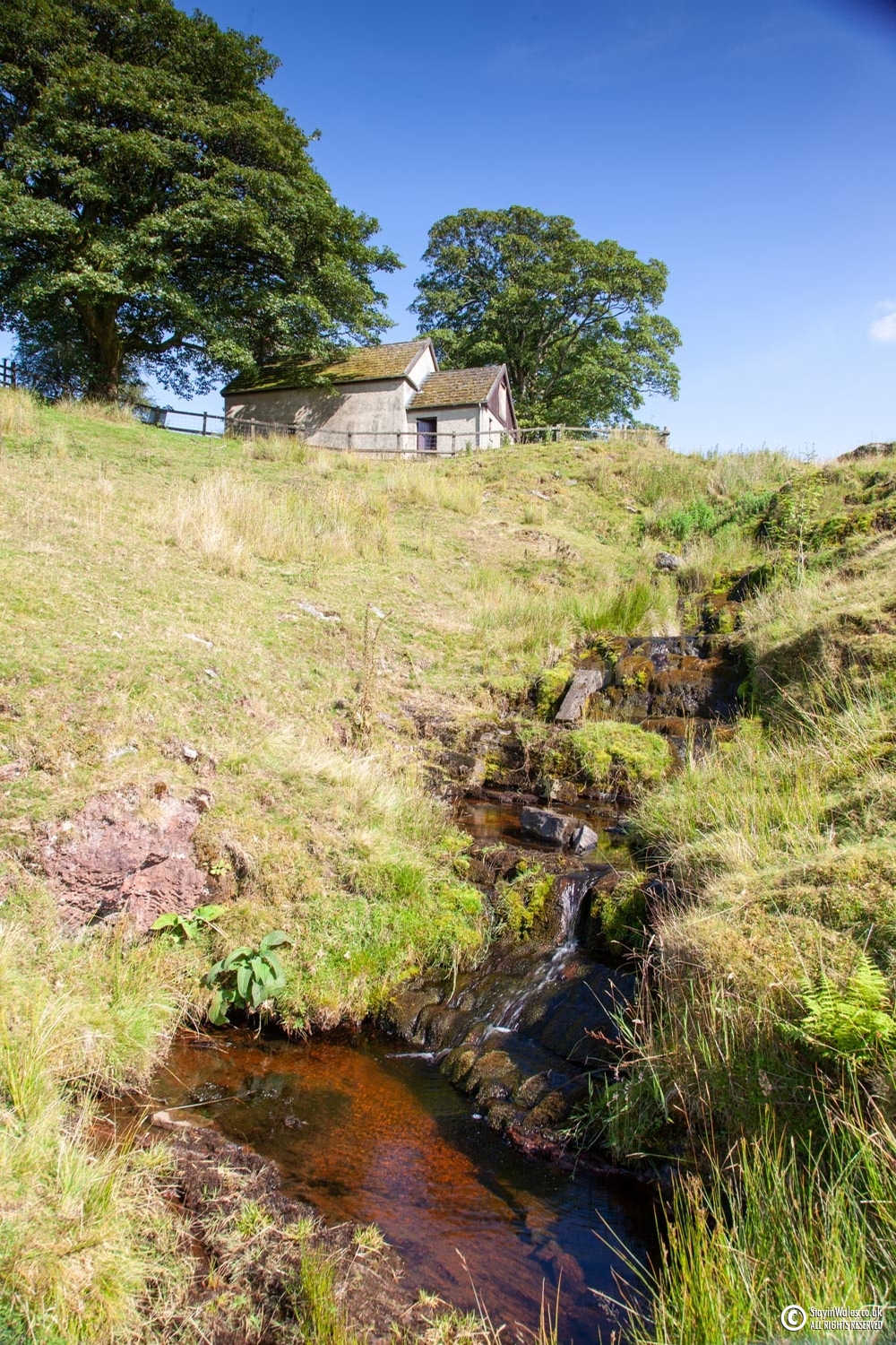 Ffrwd-wen, Mynydd Epynt