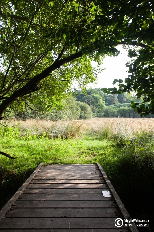 Footpath at Llandegley Rocks