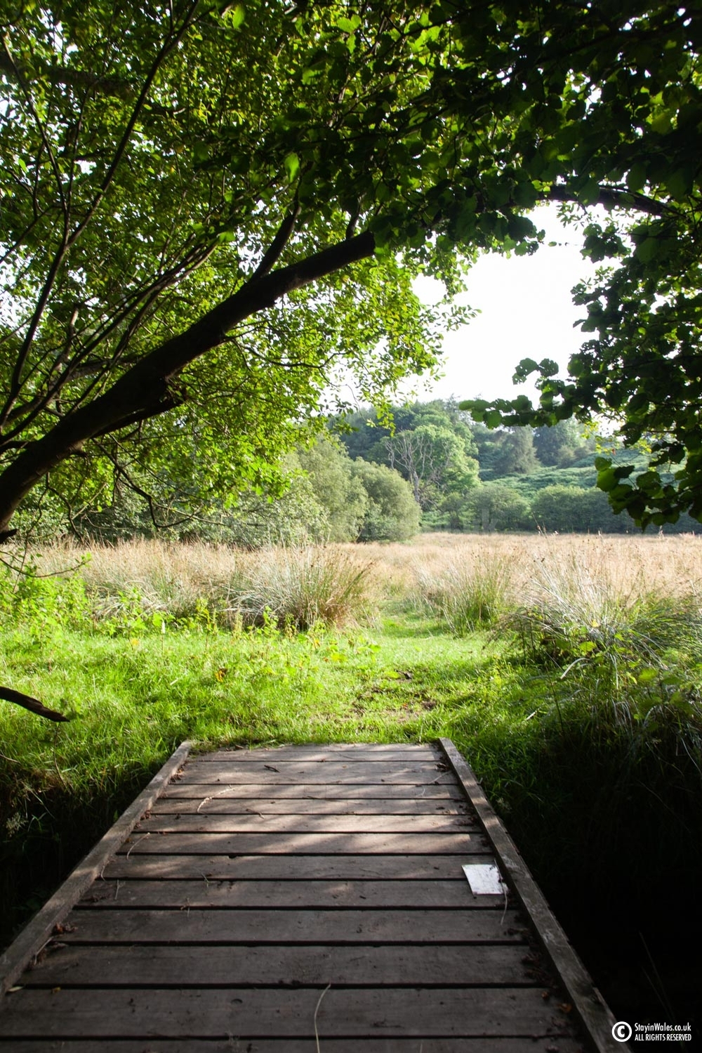 Footpath at Llandegley Rocks
