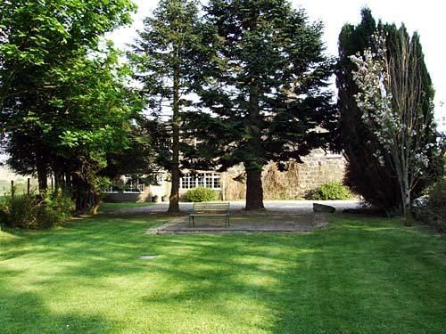 The garden