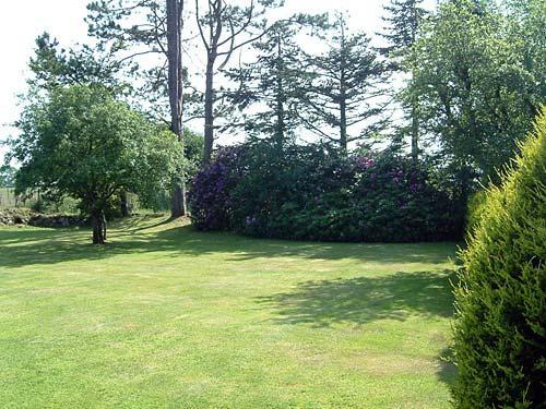 The garden