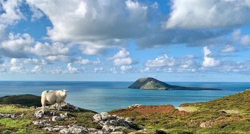 Llyn Peninsula coast