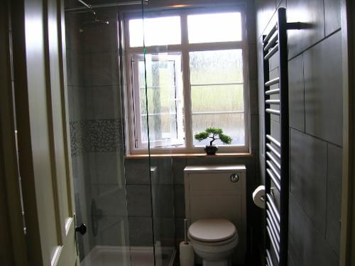 Bathroom with new walk in shower.