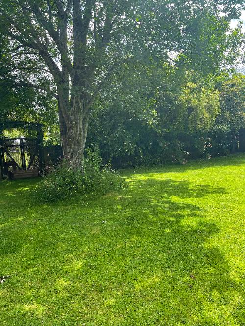 The grounds at Duffryn Mawr