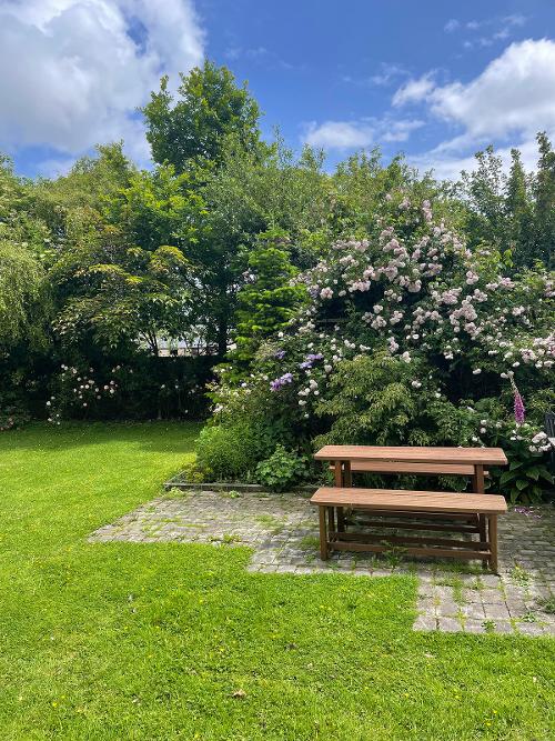 The garden