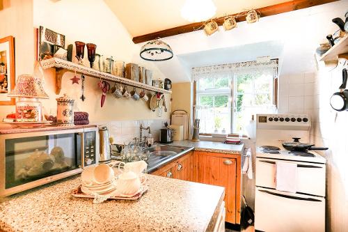 Apartment kitchen