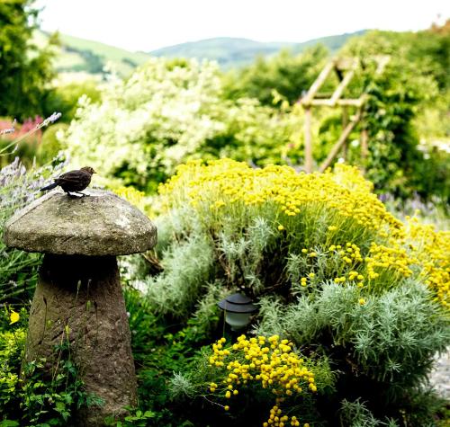 The gardens