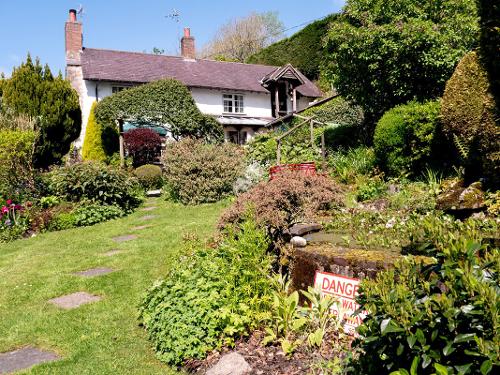 Bryn Tirion Cottage