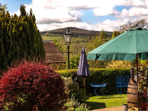 The gardens at Bryn Tirion