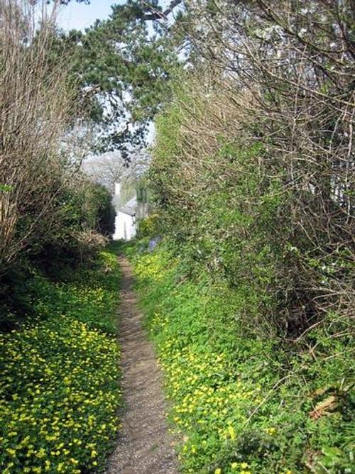 Coxen Lane with The Old Stables in the distance