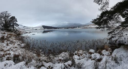 Llyn-y-Gader