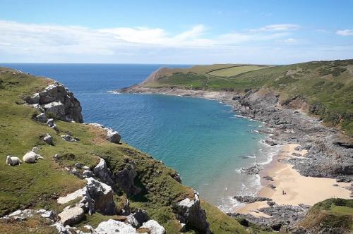 Clyne Farm Centre - Discover secret coves