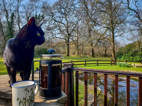 Clyne Farm Centre - All cottages are pet friendly