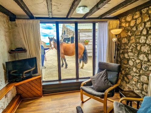 Clyne Farm Centre - Byron's Barn