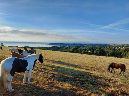 Clyne Farm Centre - View From The Farm