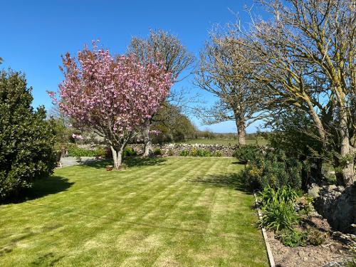 The Garden