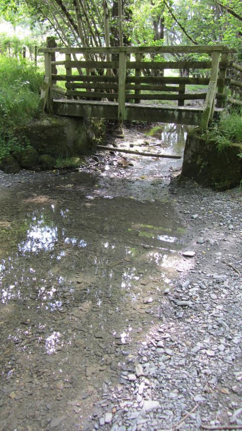 Footbridge on local woodland walk