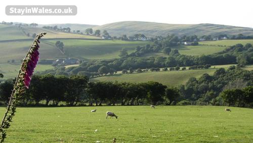 Darowen Village