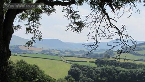 View on nearby walk