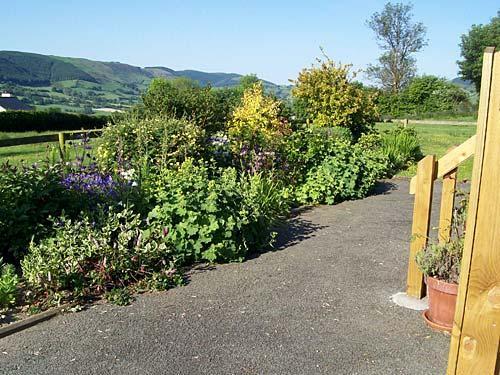 View from the garden