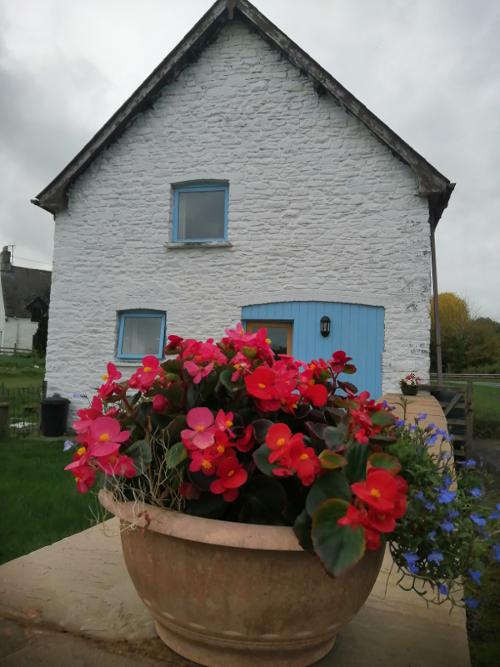 Arch Cottage