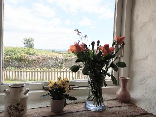 Arch Cottage - view from the cottage