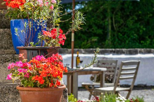 Each cottage has a sunny patio area
