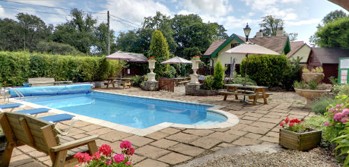 The pool