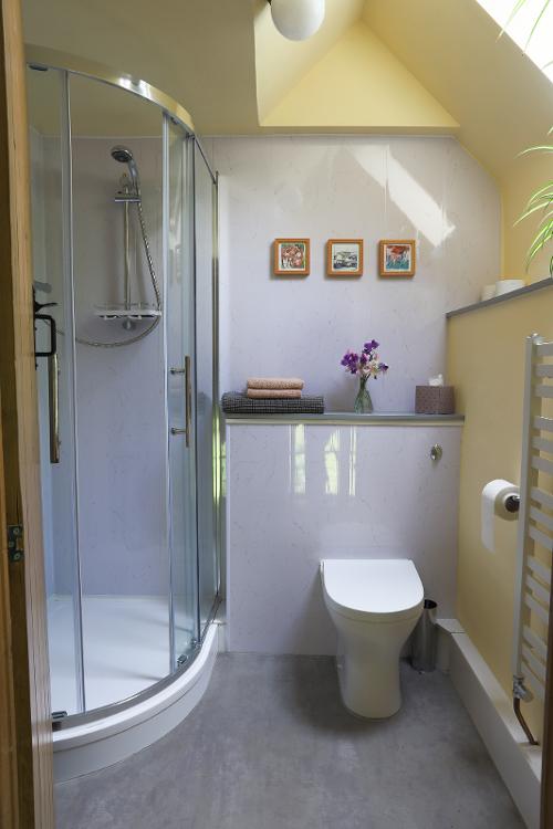 Shower/loo