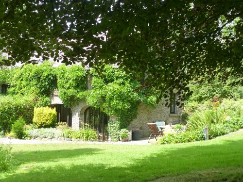 Under the beech tree