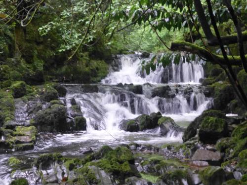 Our waterfall on the Cib stream