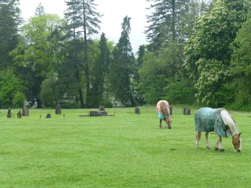 Horses grazing our field with stone circle