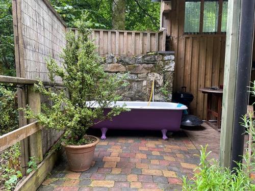 Alfresco bathing