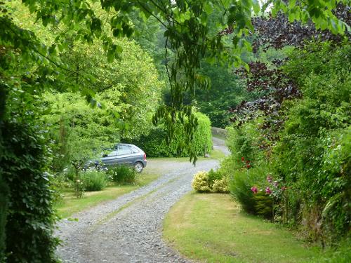 Down the drive