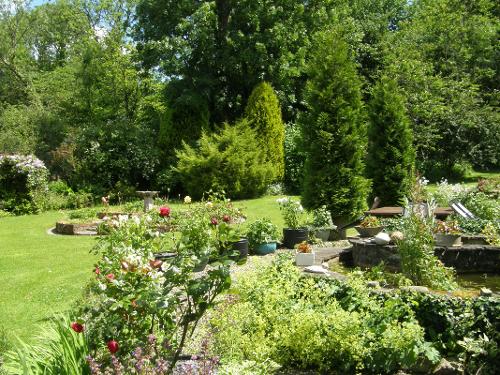 Back garden